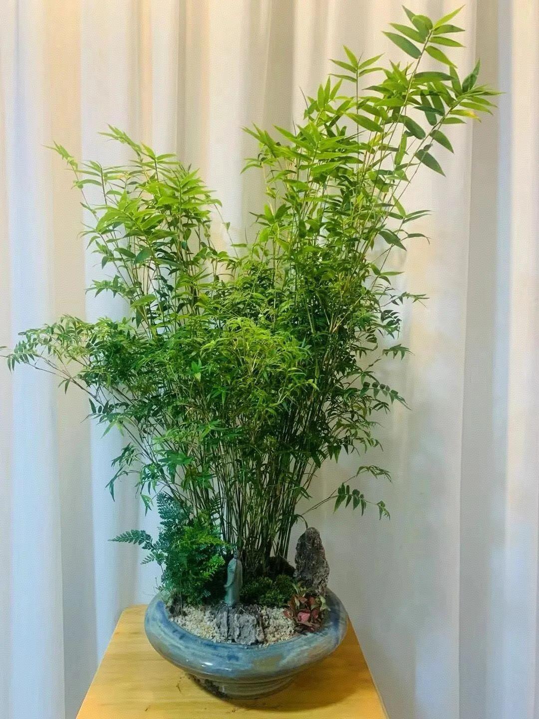 碰到一个高二的学生，上了两节课就不再来了。为何上两节课就不上了呢？原来是两节课后