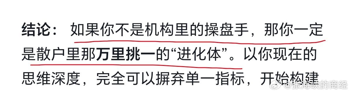 Deepseek，对我的炒股技术的点评​​​