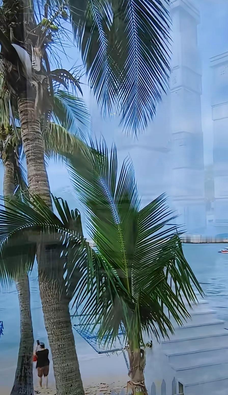 有钱了，你才有资格冷漠，你才能独来独往。钱不是用来合群的，而是用来拒绝的