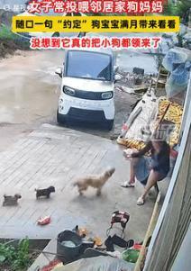 “真成精了？”9月18日山东枣庄，一女子经常投喂邻居家的小狗，得知小狗怀孕后，女