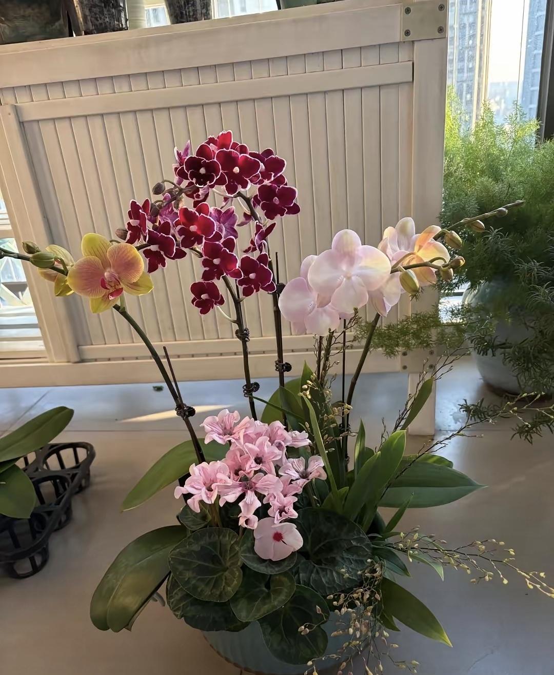 朋友只是个普通档案员，十年没升职，工资四千五。离职三天，单位就乱了套，一批抗战资