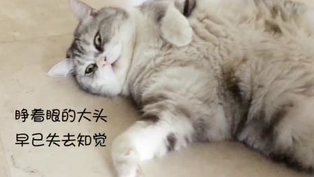 14520456654160241501.jpg?id=0