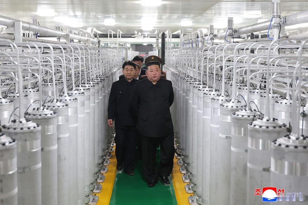 金正恩同志视察新投产的核物质厂：坚决行使拥核国家地位朝鲜中央通讯社2026