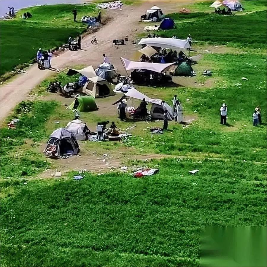 江苏这片麦田路被挖断了是当地农民亲手挖的，你敢信？好好的春日麦田成了