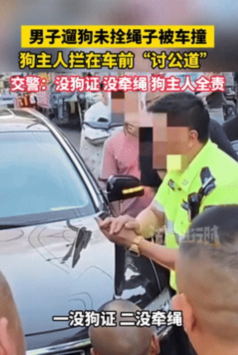 无理都要争三分！河北，一男子大街上遛狗不牵绳，结果被正常行驶的汽车给撞死，男子立