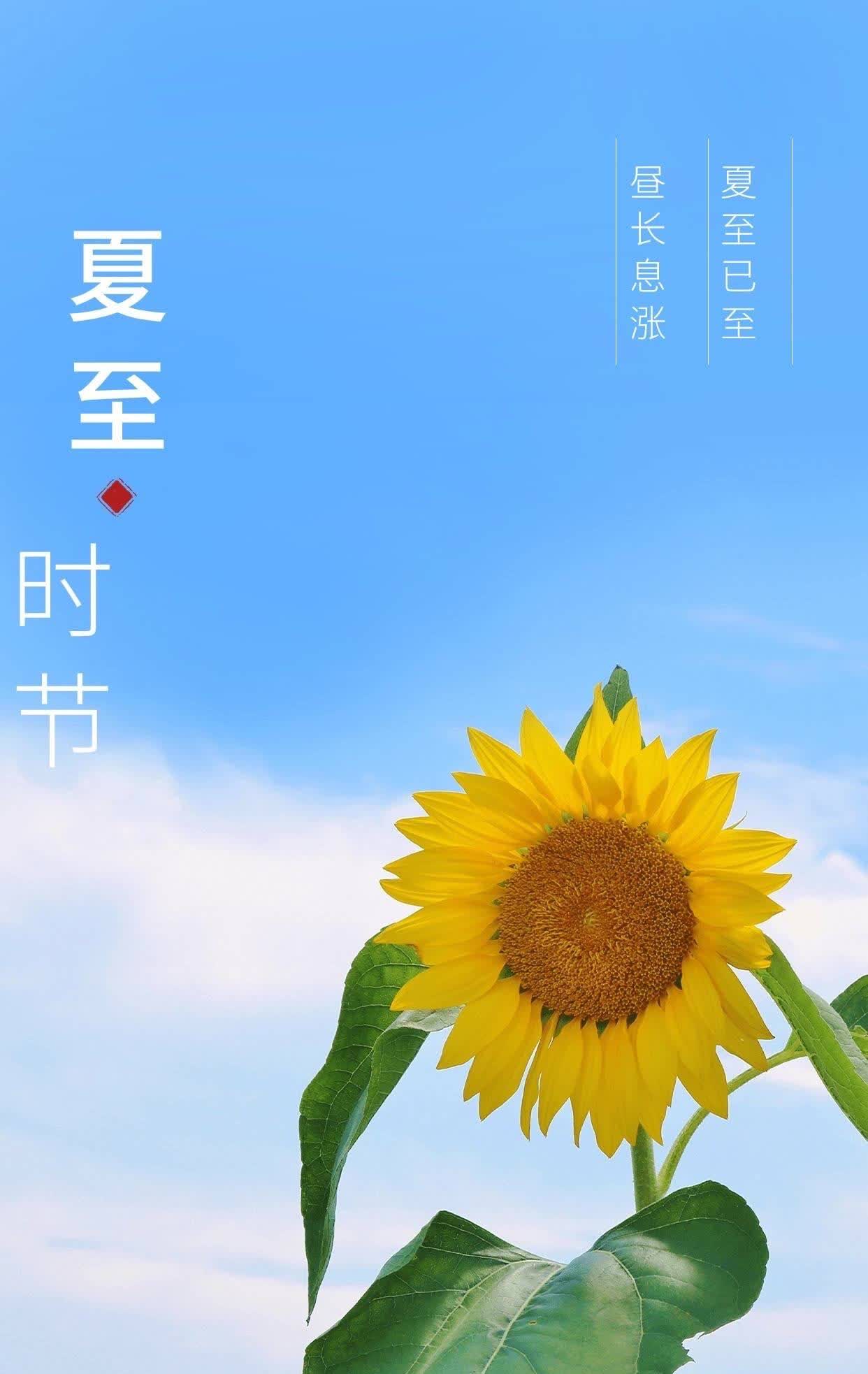 ?2025年夏至将于6月21日10点42分13秒开始?，标志着北半球白昼最长的一