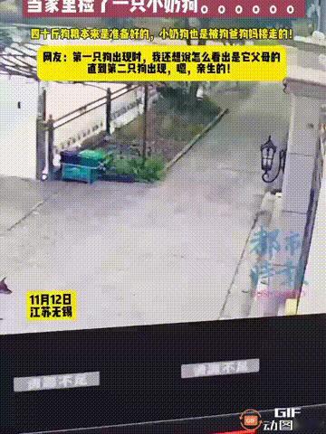 江苏无锡一名男子在路上捡到一只小狗，于是打算带回家里养着，连狗粮都已经准备好了四