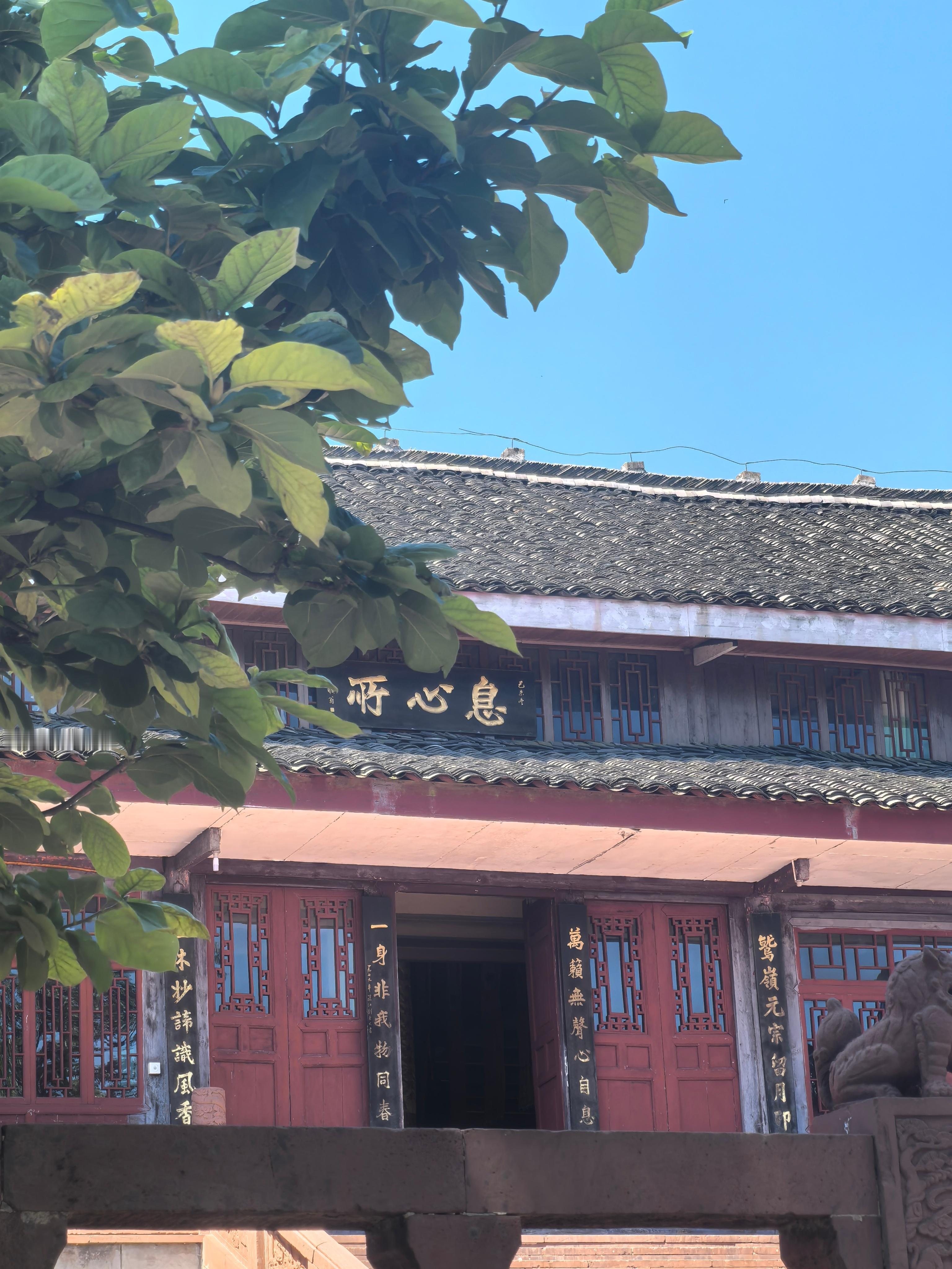 莫冘今天就先爬到雷洞坪峨眉山·峨眉山旅游风景区