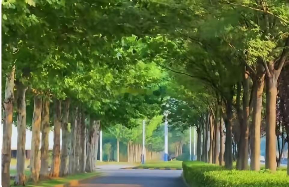 经常做饭的人，一定要知道的15个秘诀。1、煮面条一定要放醋。水开下面，滴几滴醋。