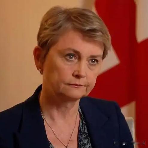 英国又开始作妖了！2月9日，针对“港独分子”黎智英获刑20年，英国外交部长库珀回