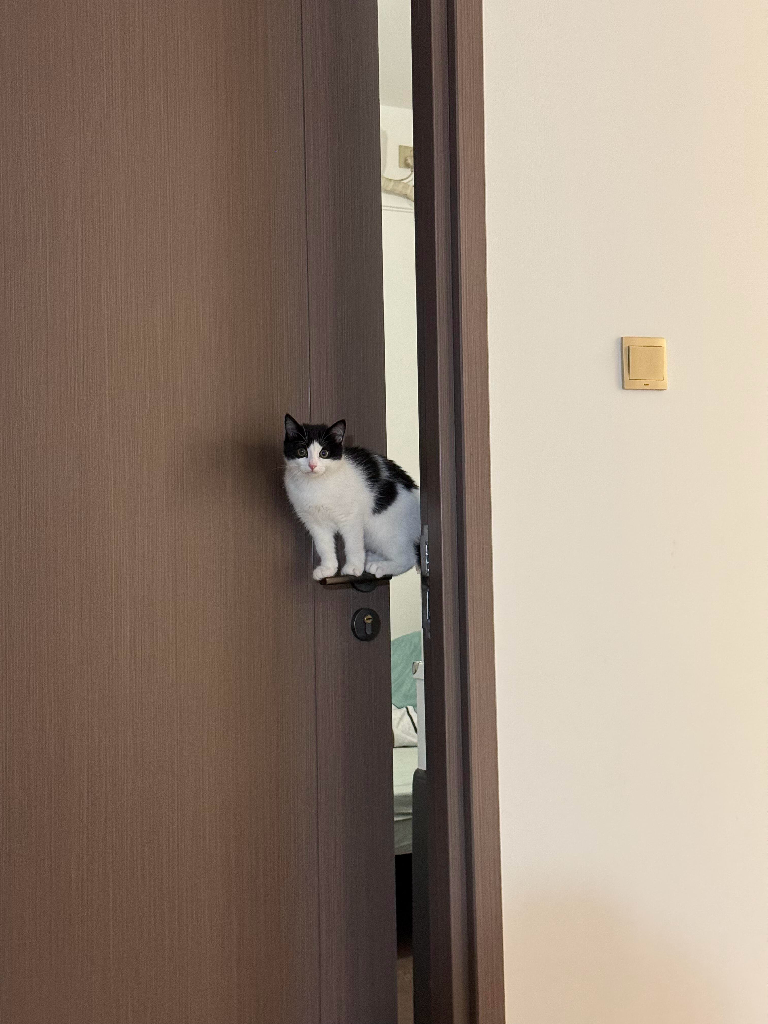 人！快看咪！闪亮登场！​​​