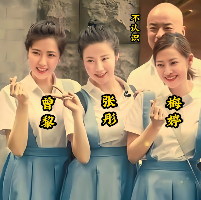 梅婷，曾黎，胡静，张彤，等在一起合影留念，美好的回忆！你喜欢哪位？