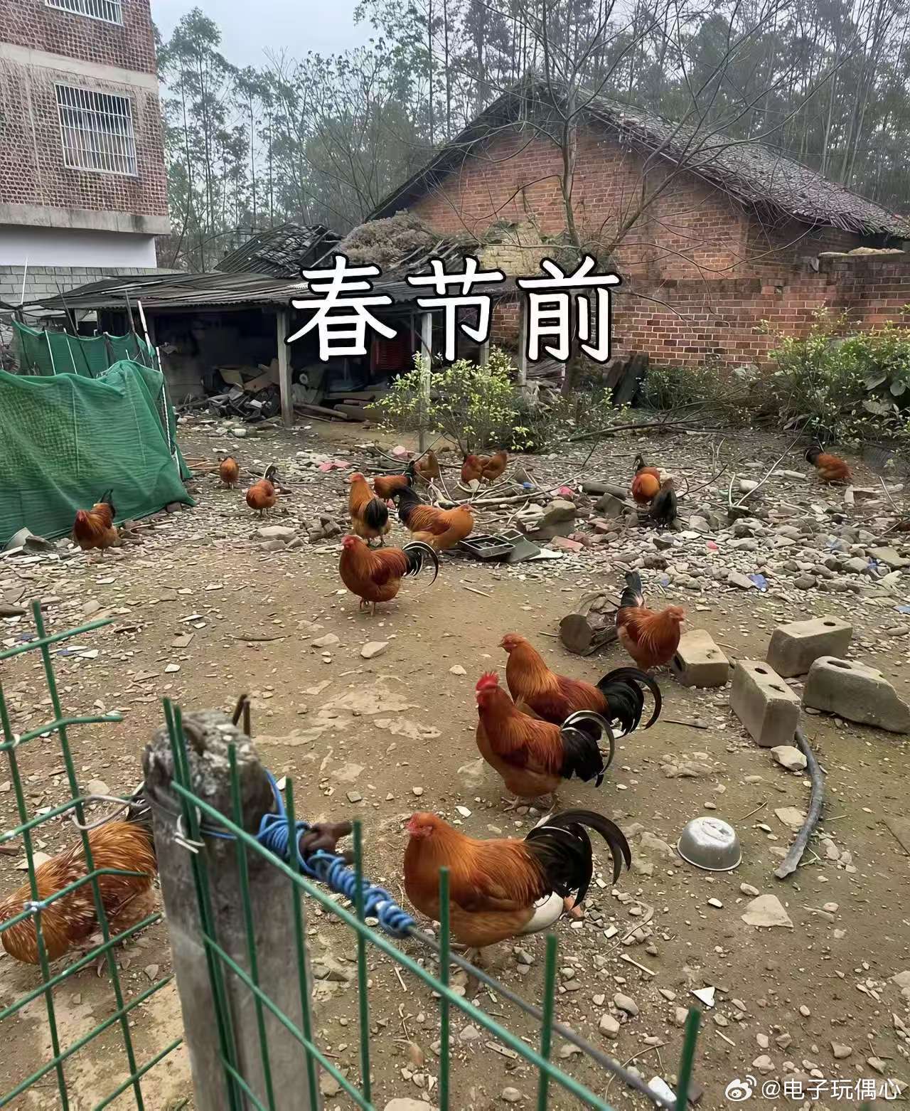 看到这一幕，你悟到了什么？