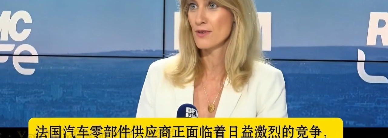 一边在中国赚得盆满钵满，一边又想让欧洲市场关门，这操作谁看了不愣一下？法雷奥