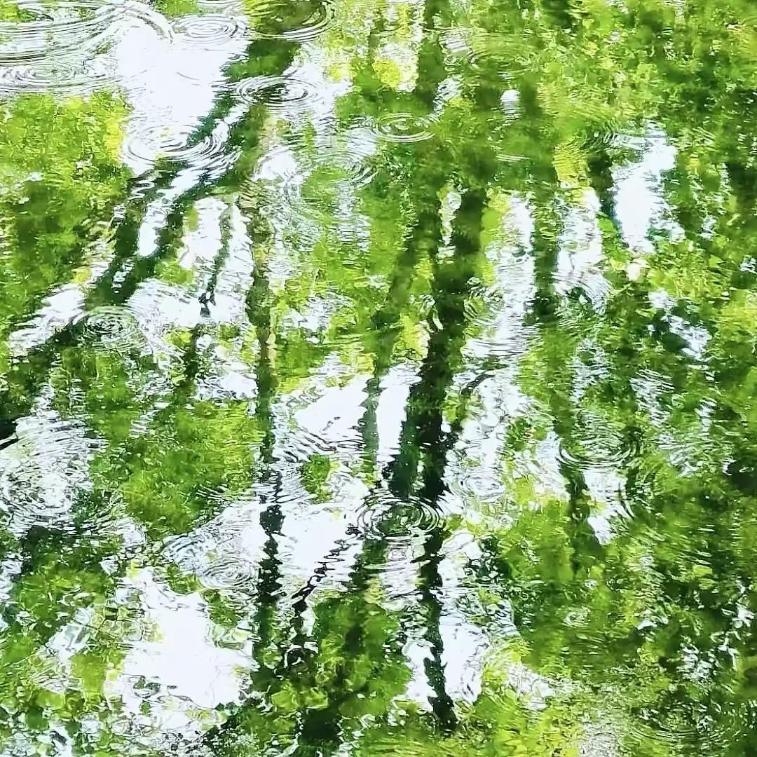 每日一善每日一善‬阳光‬‬信用善良是一种选择，也是一种轮回，你今日付出的善意，