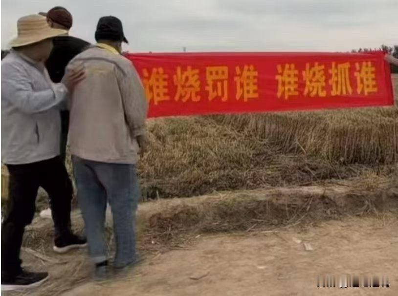 没文化就问：这标语应该从左读还是右读？咋觉得左读右读都有理捏！