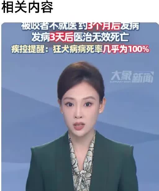 男子3个月后去世宠物狗，相关部门都应该追查到底。如果是没人认可的流浪狗，就得打一
