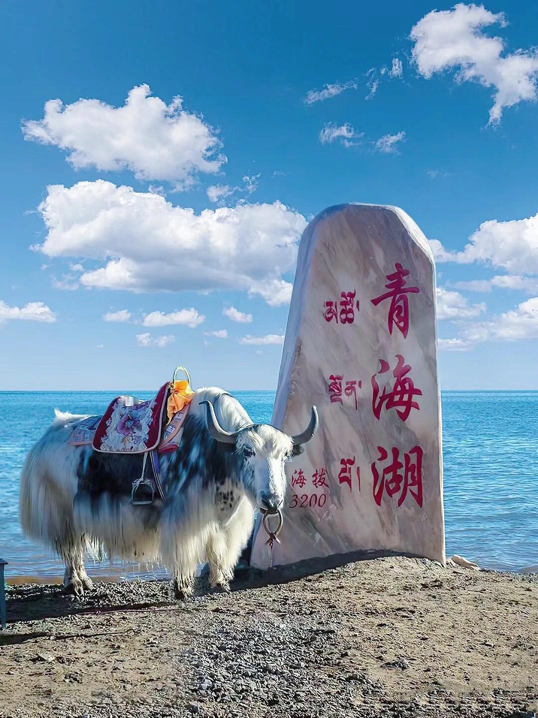 没去过青海湖的一定要去一次青海湖吧，感觉真的好美丽，这样的风景真的不可多见！！