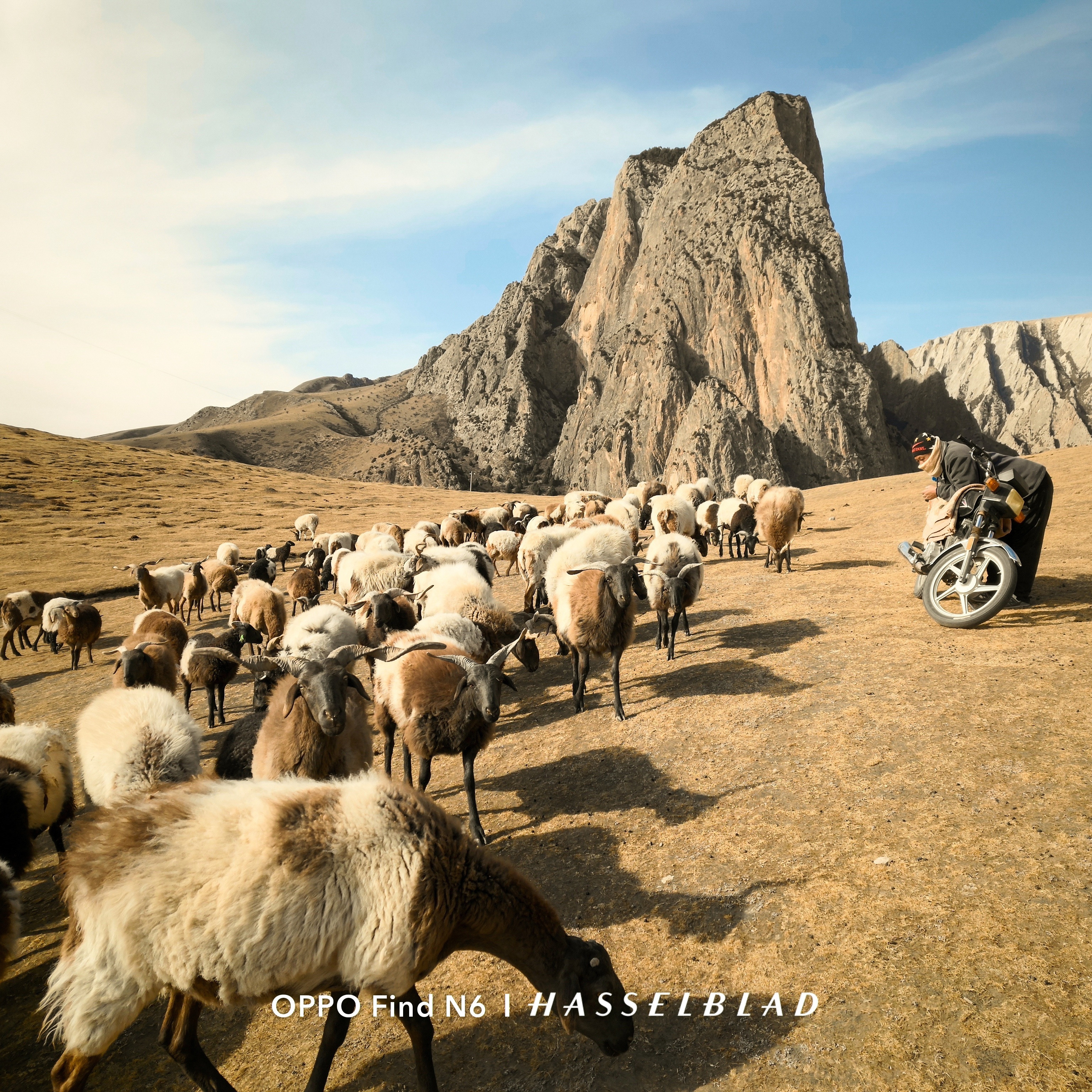 刚看完OPPOFindN6的实拍样张，确实有被惊艳到，尤其是用专业哈苏人像拍