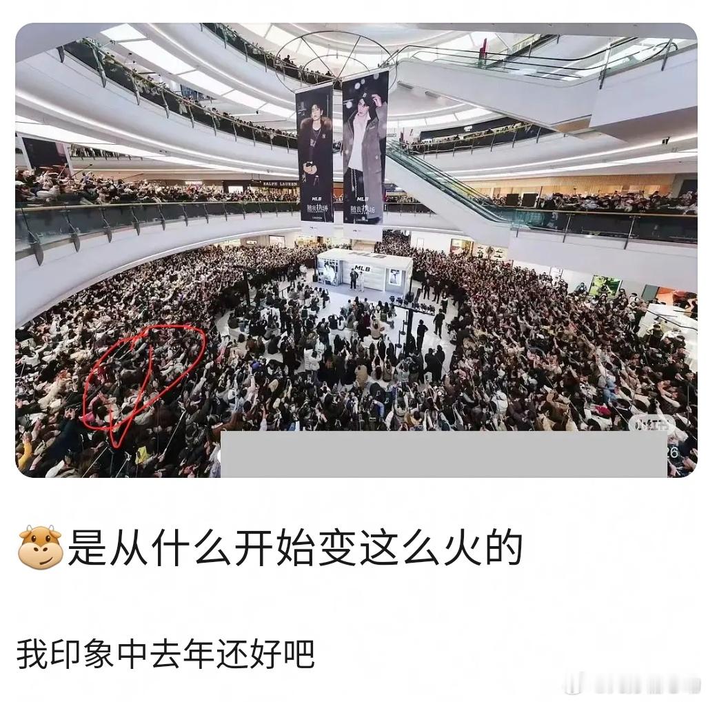 张凌赫线下这么多人太正常了，要知道大家都爱看帅哥，要是我也会去看