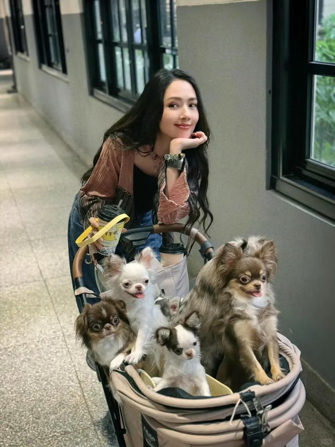 郭碧婷养了一百多只动物，这句话还不是夸张，她在台北的家里养了狗、猫、还有鸟，鸡之