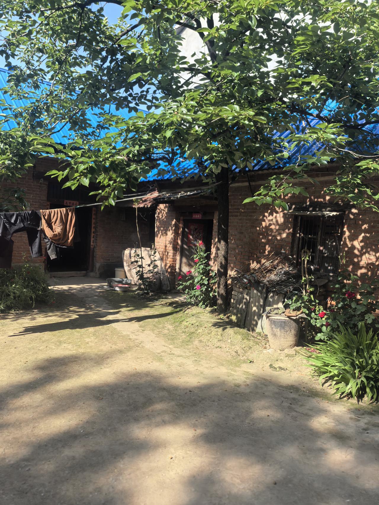 婆婆公公都已经86岁了。他们同岁，是一辈子的老乙肝。这一点也让我们感到意外与惊喜