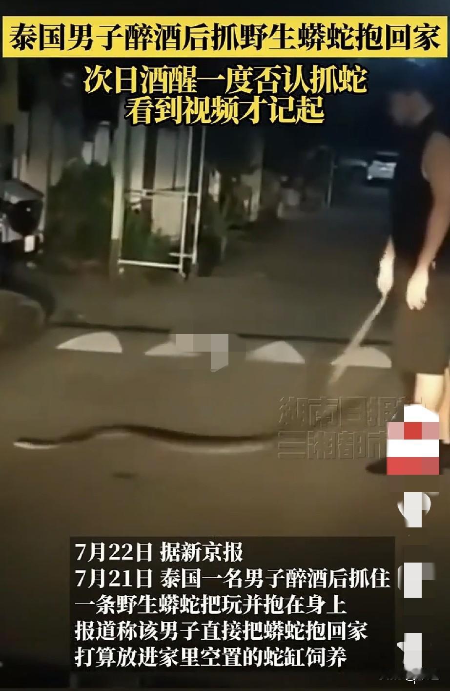 7月21日，泰国一名男子在外边聚餐时喝醉了。回家途中正好遇到一条蟒蛇，他抓住就