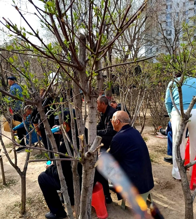 那些退了休的七八十岁的老头，尽量不要去公园儿里听唱戏，听唱歌，因为在树林里有一群