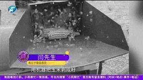 “防不胜防!”近日,河南商丘,一女子在家里干农活打玉米,谁知却突然开始头疼、咳嗽