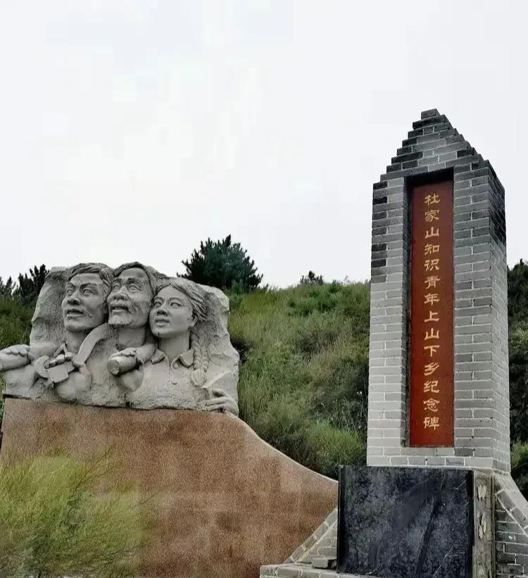 在当下。她一定被骂成傻子！在这个喧嚣浮躁极度功利的时代，她简直傻到了极致！因