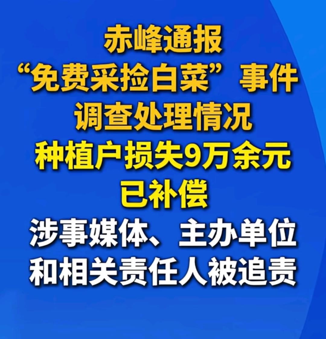 赤峰通报“免费捡白菜”事件调查处理情况！种植户损失9万余元，已补偿涉事媒体主办