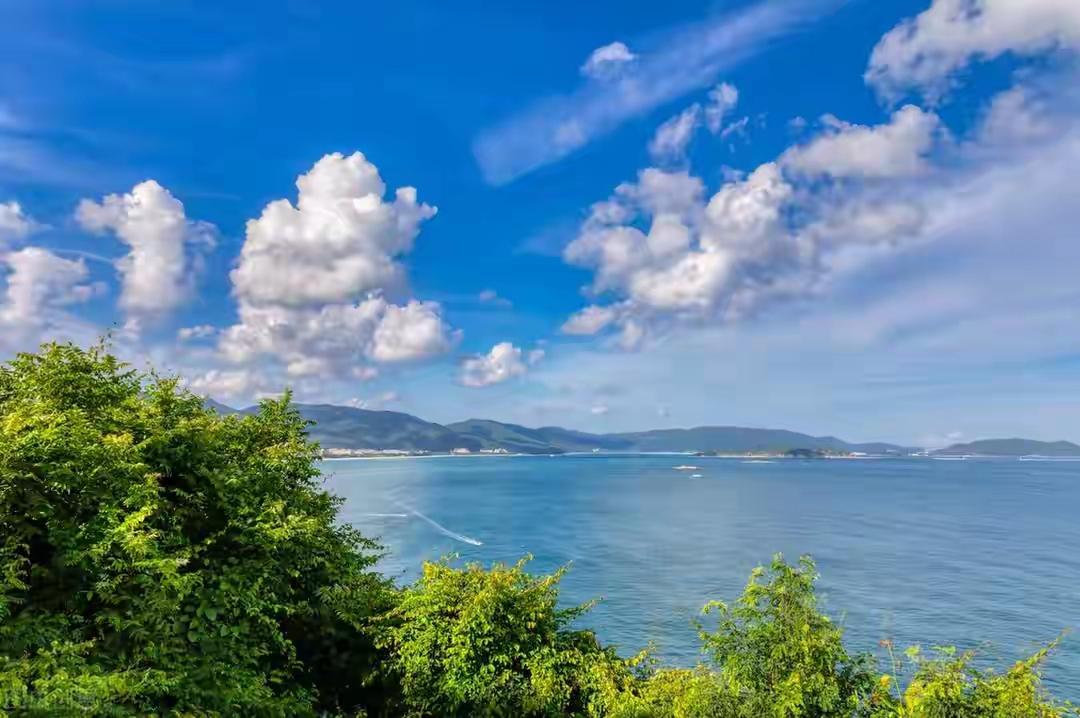 我有一对双胞胎儿子，如今也都30多了，都未婚。一路走来，孩子的培养真是稀里糊涂，