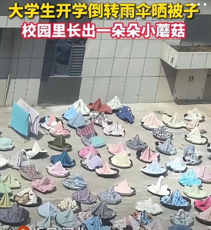 早认识阁下，不会彻夜难眠......河北一大学，晒被子火了。学生将雨伞倒放在地