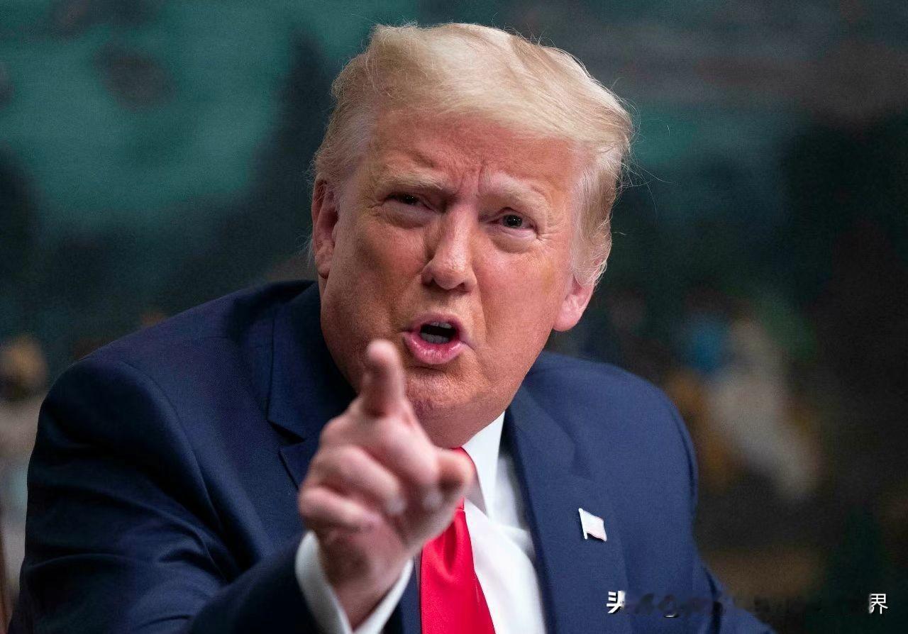 美国总统：“丹麦凭什么拥有格陵兰岛的‘所有权’？根本没有书面文件佐证，只是几百年