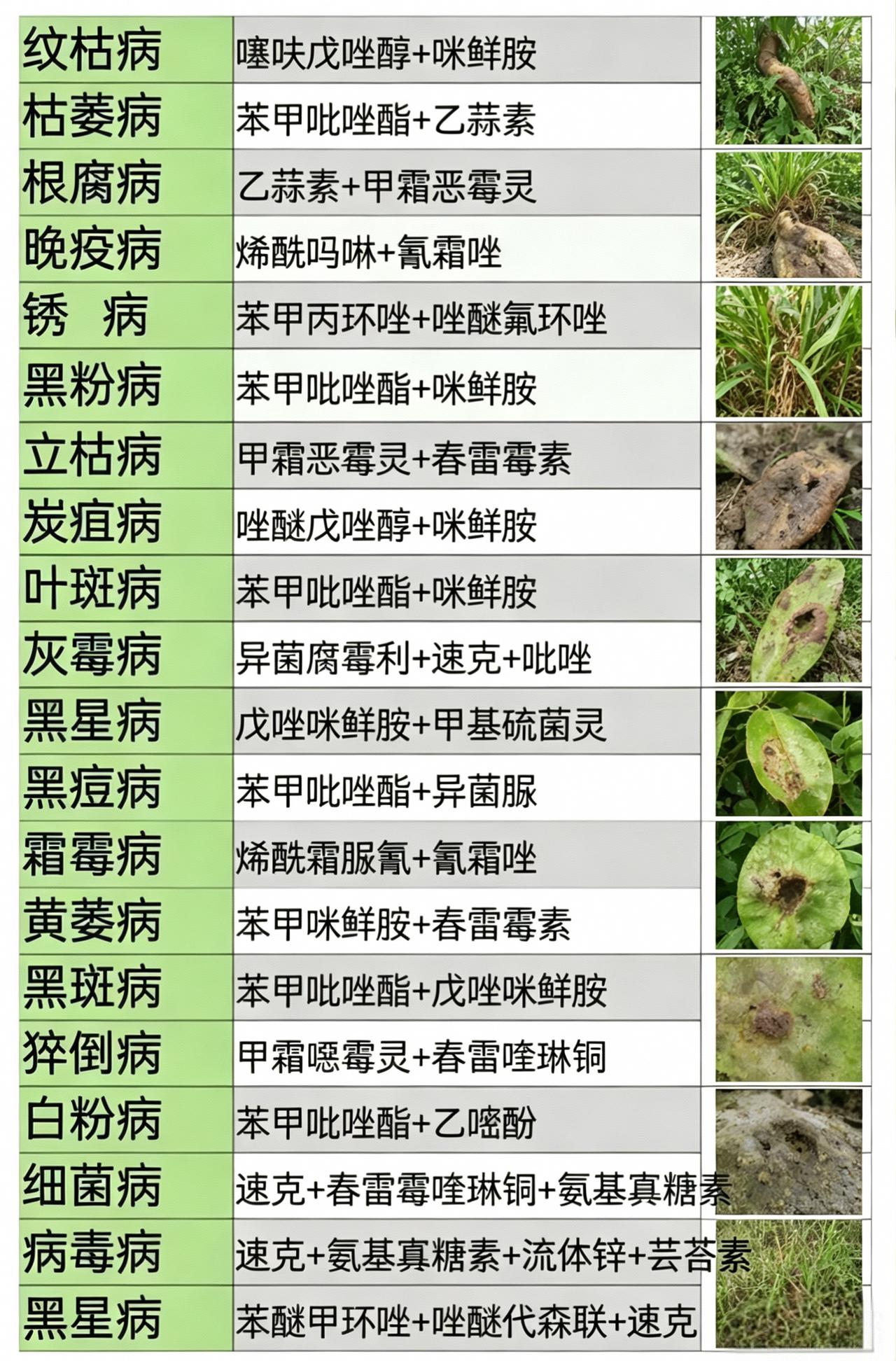 农业种植病害防治杀菌剂农资经销