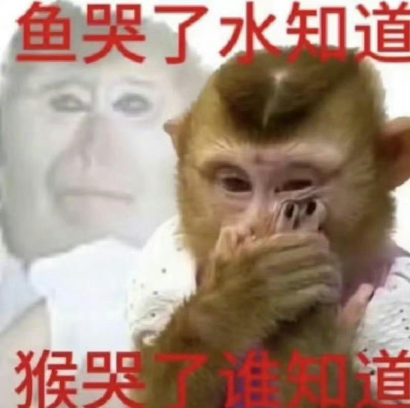 🔻不知道为什么，🐒脸就蹭我鞋底上来了。🔻而且是两次。🔻这种要求我这辈子都