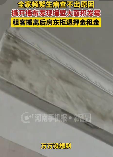 “头皮发麻！”7月28日第一现场报道，广东深圳，一女子全家自从搬进出租屋后，就总