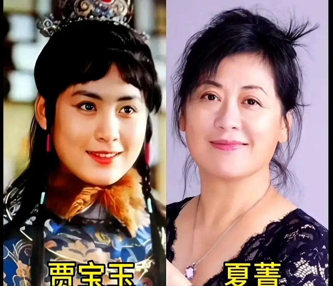 87版《红楼梦》开播快四十年了，当年一套黄金档播，36集，欧阳奋强演贾宝玉，陈晓