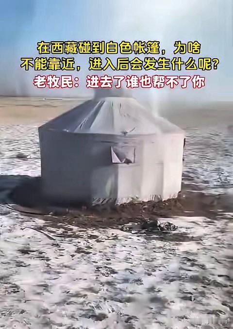 千万别随便靠近藏区草原上的白帐篷，老一辈牧民的忠告真不是玩笑，贸然闯入后果真