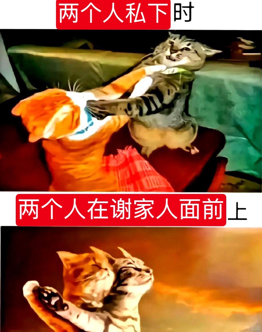 几张图让你看懂一瓯春官配一瓯春热脸撩骚冷脸恶鬼​​​