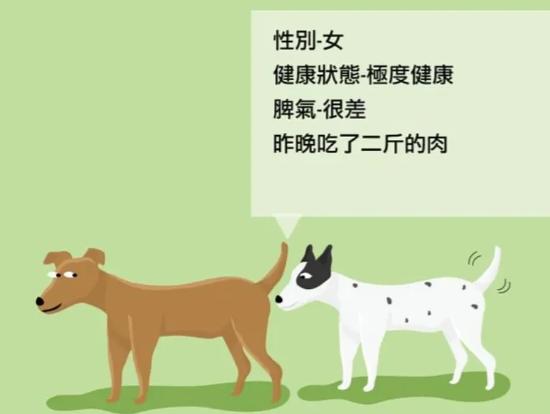 [点赞]为什么哺乳动物在交配前，会先闻闻对方的屁股，人类却不会？动物是害怕被拒