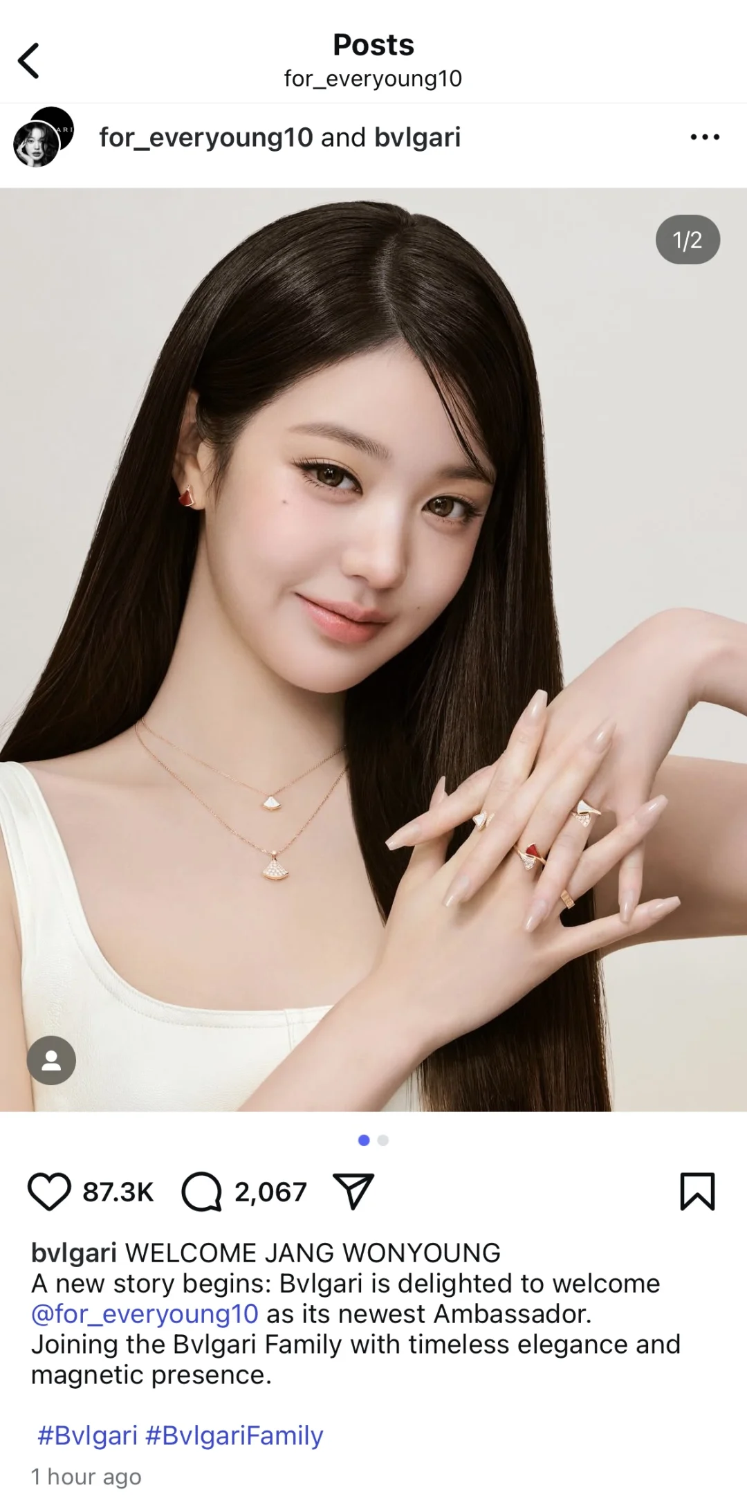 我女神就这么小兔得志～