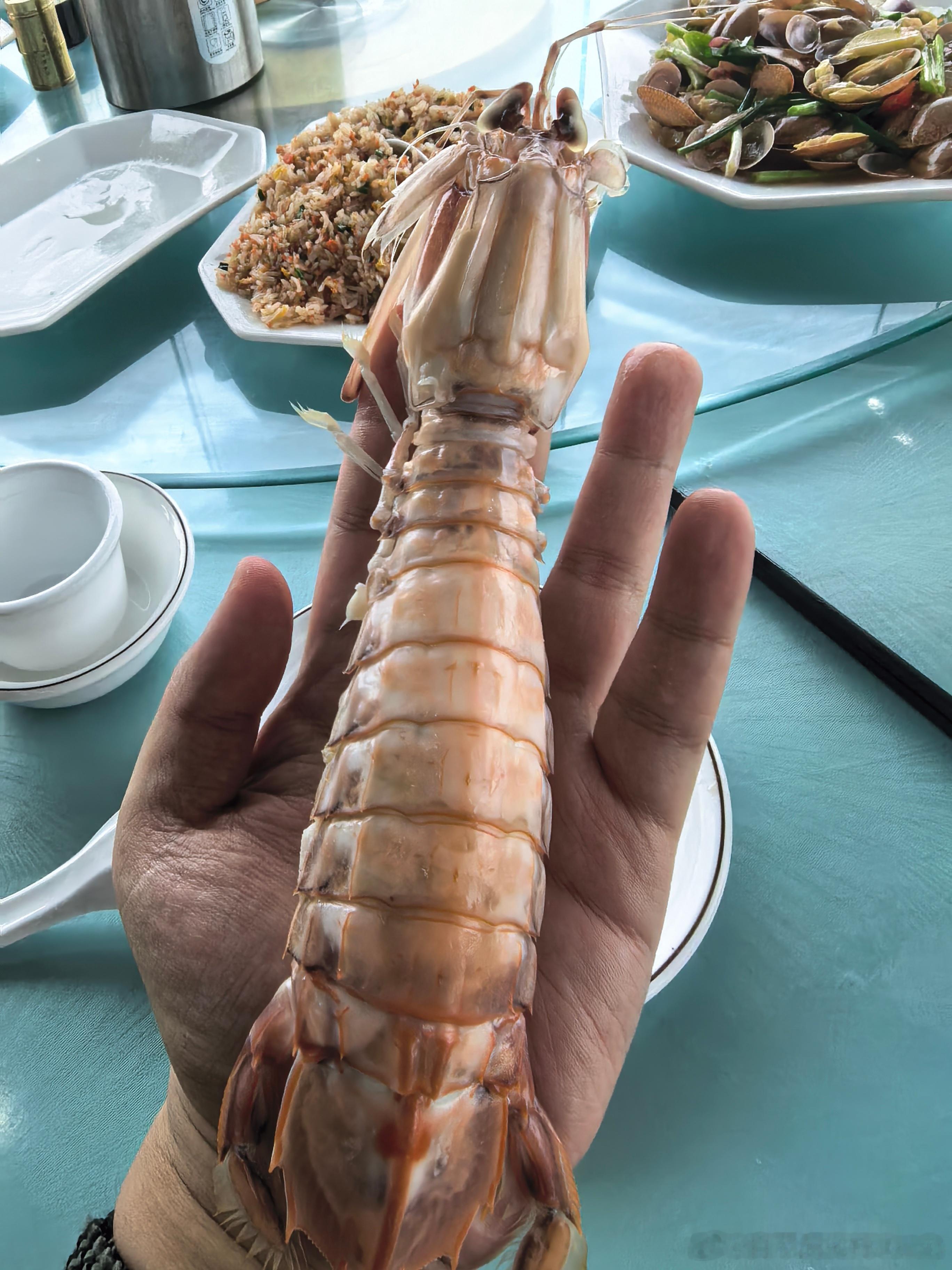 闪充钛7，要不说还真没看不太出来，等着北京车展再会了。话说今天这皮皮虾可以够大。