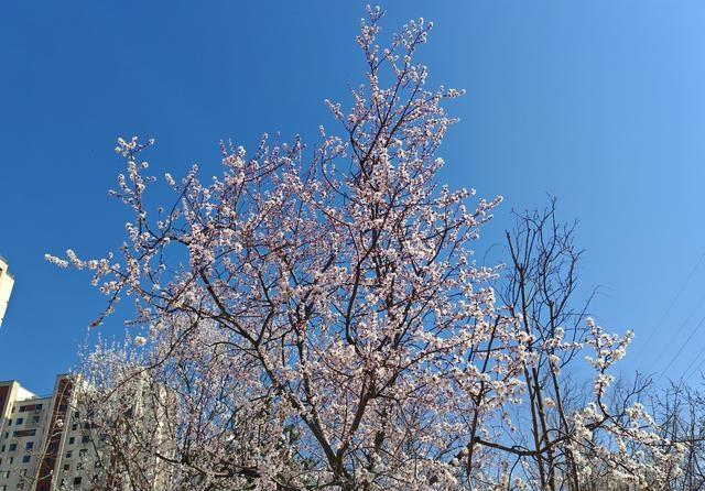 ​​2010年9月，山东枣庄的县城物流仓库里，17岁的李珊正咬着牙搬起比自己还高