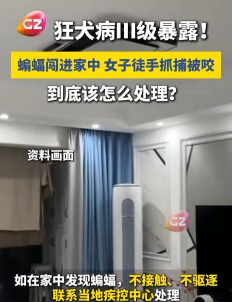 -正在上厕所，马桶里突然窜出蝙蝠，女子惊慌失措，徒手抓反被咬伤，这是咋回事？前