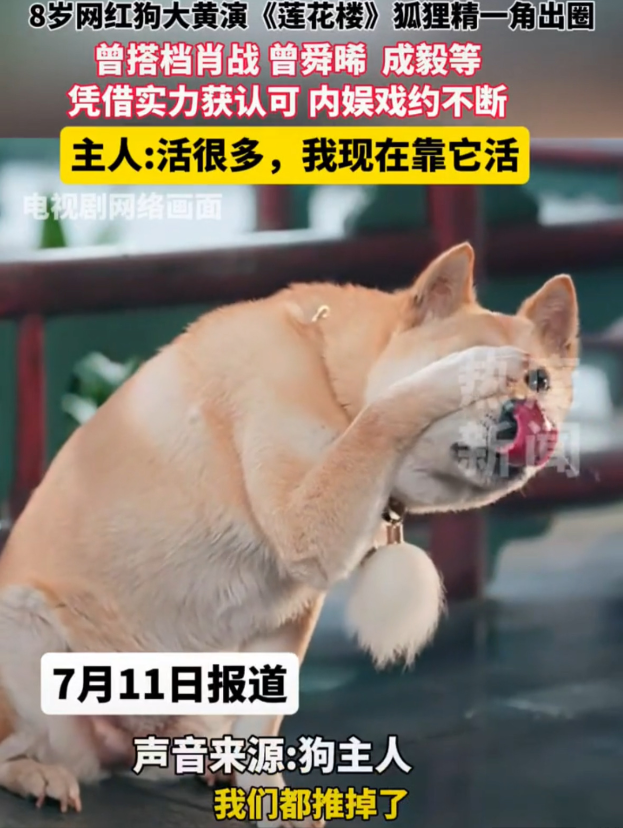 看过啃老的‼️没看过啃狗的‼️😂《莲花楼》“狐狸精”的主人倒是很实诚🤣，说