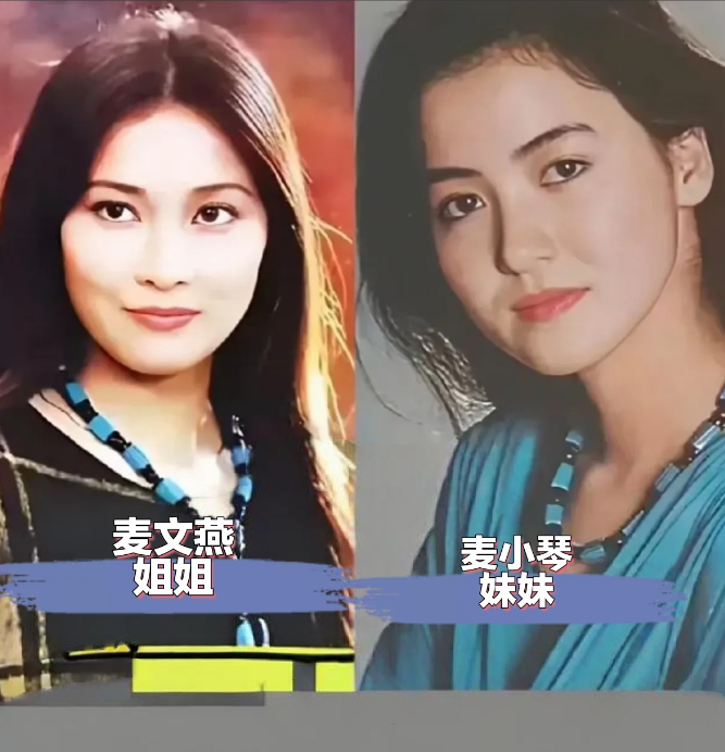 姐姐漂亮，妹妹也美，演艺圈内的这些明星姐妹，颜值都很高，最好命的是鲍蕾和妹妹鲍莉