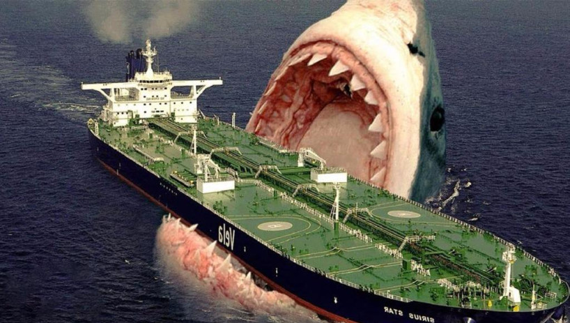 史前世界最大的鲨鱼: 体长20米 以鲸鱼为食