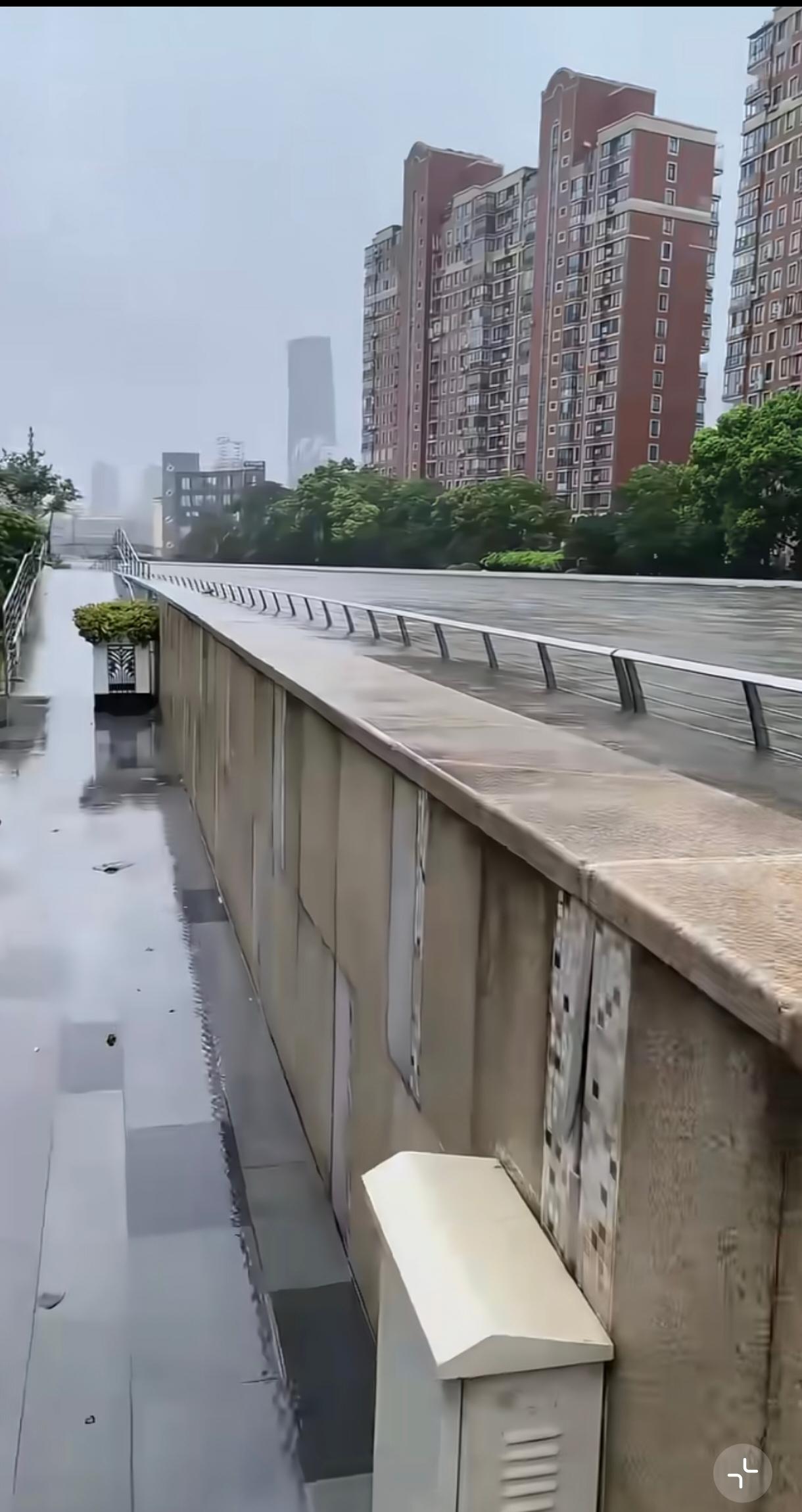 暴雨使苏州河水迅速上涨，估计比街面高一米，已成地上悬河了，有次序的搬往高处吧，以