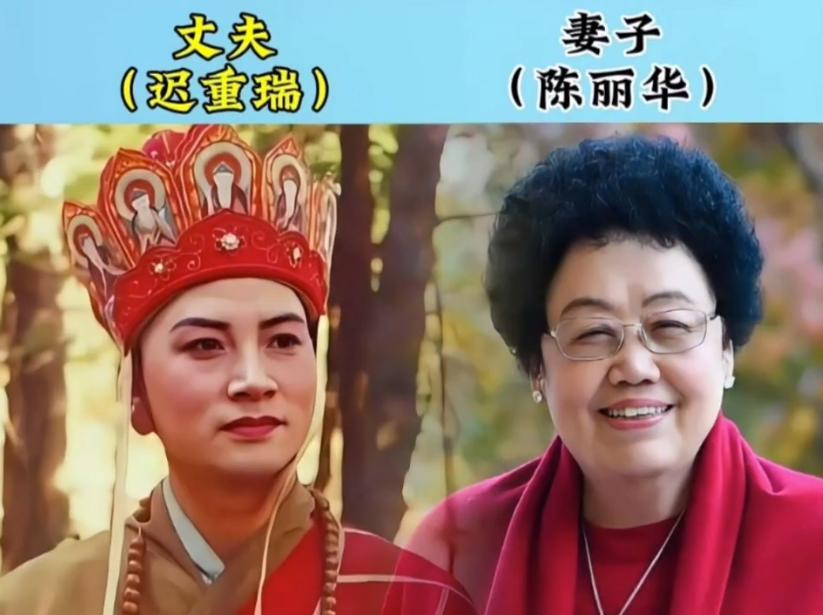 这些明星夫妻打破了“无后不圆满”的偏见。他们用一生相守，诠释婚姻最好的模样